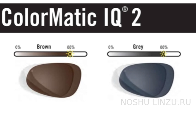    Rodenstock Perfalit ColorMatic IQ2 1.54  chocolate brown/pure grey  SPP2